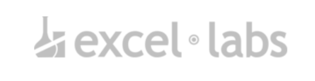 Excel Labs